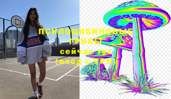 ГАЛЛЮЦИНОГЕННЫЕ ГРИБЫ Аркадак