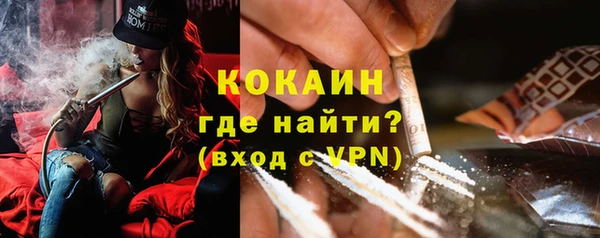 ГАЛЛЮЦИНОГЕННЫЕ ГРИБЫ Аркадак